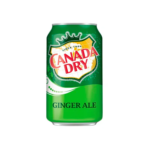 Canada Dry Ginger Ale 24x355ml